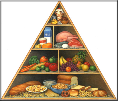 Food Pyramid | Guide For Balance &amp; Healthy Diet - StyleGlow.com