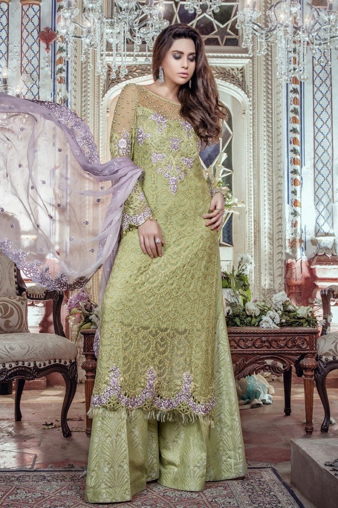 Embroidered Classy Dress for females