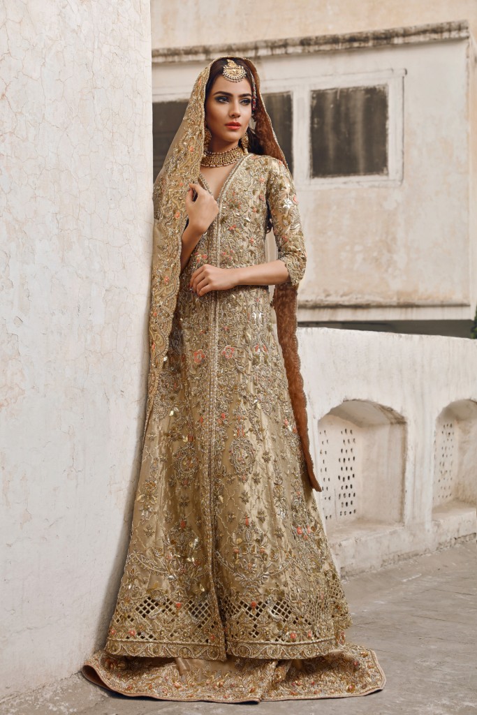 Latest Pakistani Engagement Dresses Collection 2018 19 For Bride
