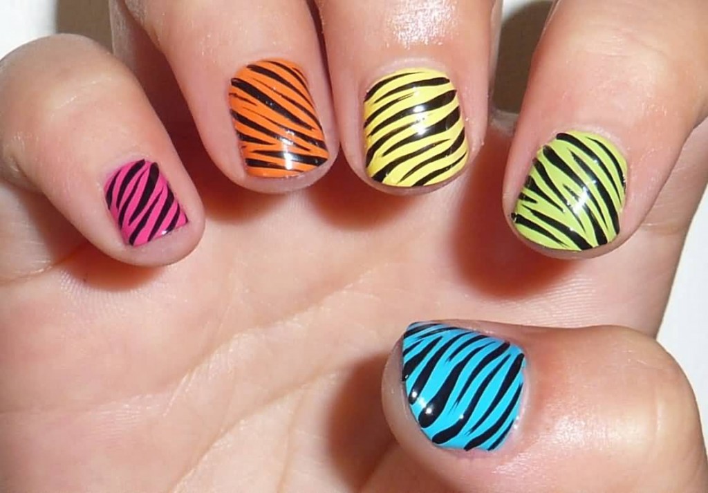 Multi color Zebra Style
